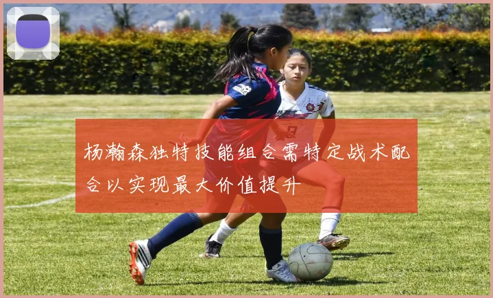 杨瀚森独特技能组合需特定战术配合以实现最大价值提升